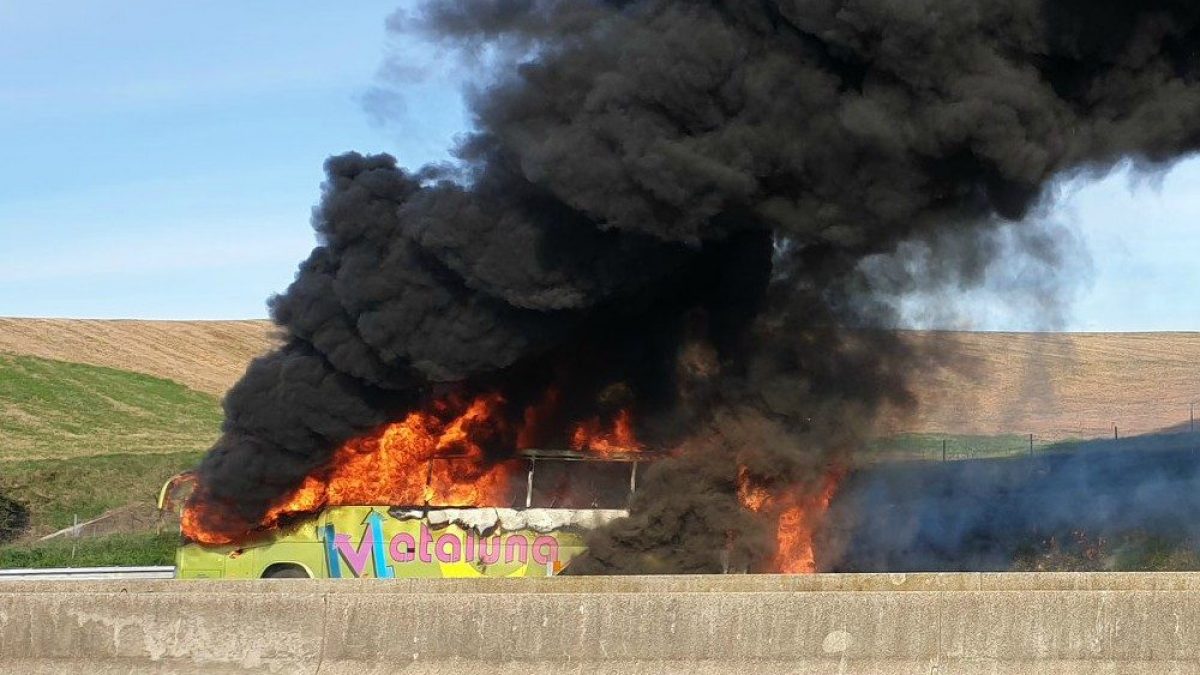 Foto Facebook di Emilio A.