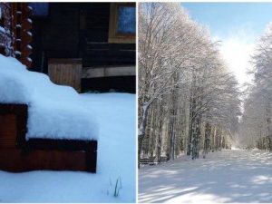 Foto dal gruppo Facebook "Meteo neve Roma e Castelli"