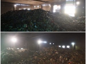 La situazione all’interno del Tmb di Rocca Cencia