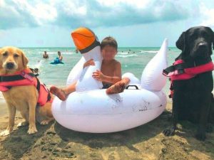Il bimbo salvato da due cani delle unità cinofile Sics