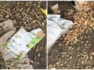 I denti ritrovati tra i rifiuti a Montesacro