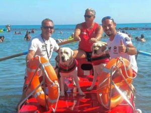 I cani da salvataggio