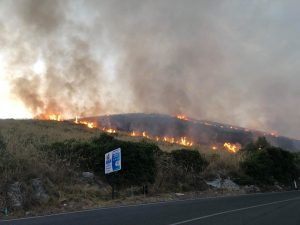 L’incendio tra Fondi e Itri (Foto: Falchi pronto intervento via Facebook)