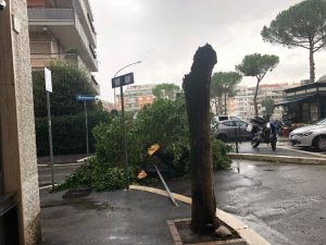 Foto dal gruppo Facebook "Sei del Fleming e di Vigna Clara se…"