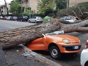 Foto dal gruppo Facebook "Sei di Mostacciano se…"