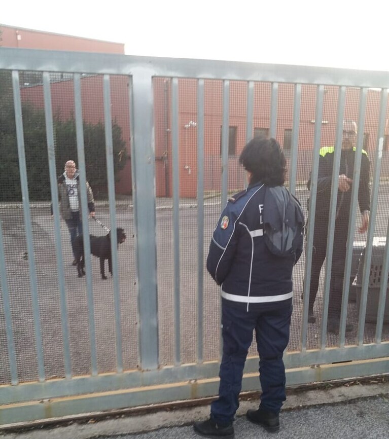 Immagine