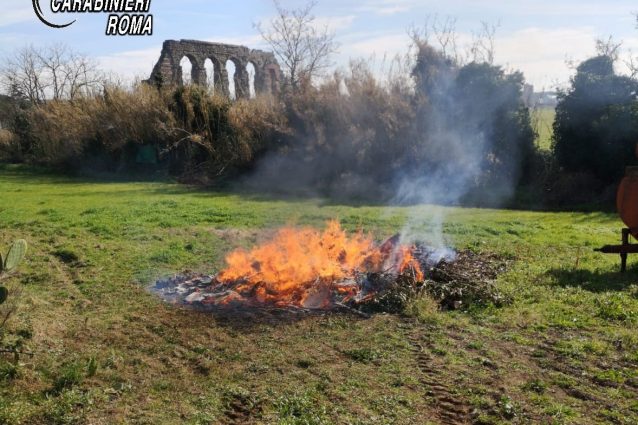 Il rogo all’interno del parco regionale dell’Appia Antica