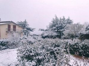 Le immagini della nevicata nel Viterbese
