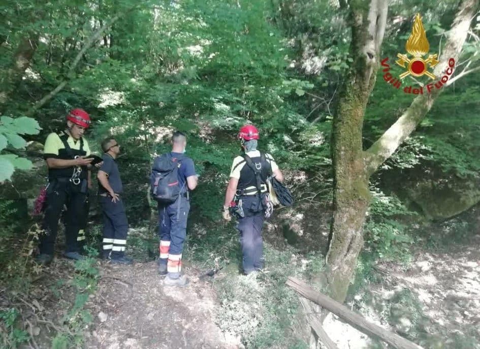 Le immagini delle ricerche