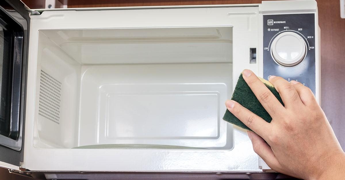 Come pulire le spugne da cucina con il forno a microonde: un metodo facile  e infallibile