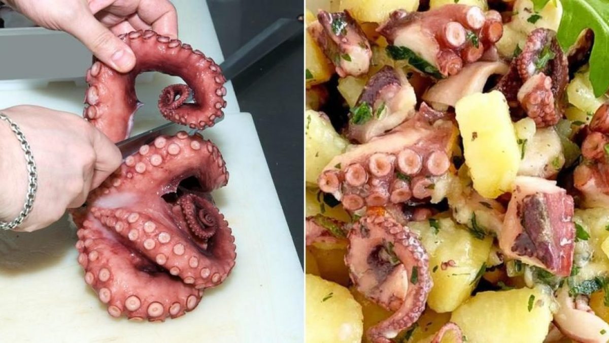 Polpo e polipo sono la stessa cosa? Le differenze chiarite passo passo Polpo e polipo sono la stessa cosa? Le differenze chiarite passo passo