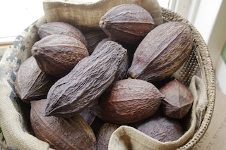 In Ecuador nascerà un villaggio realizzato con gli scarti del cacao