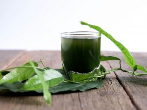 clorofilla