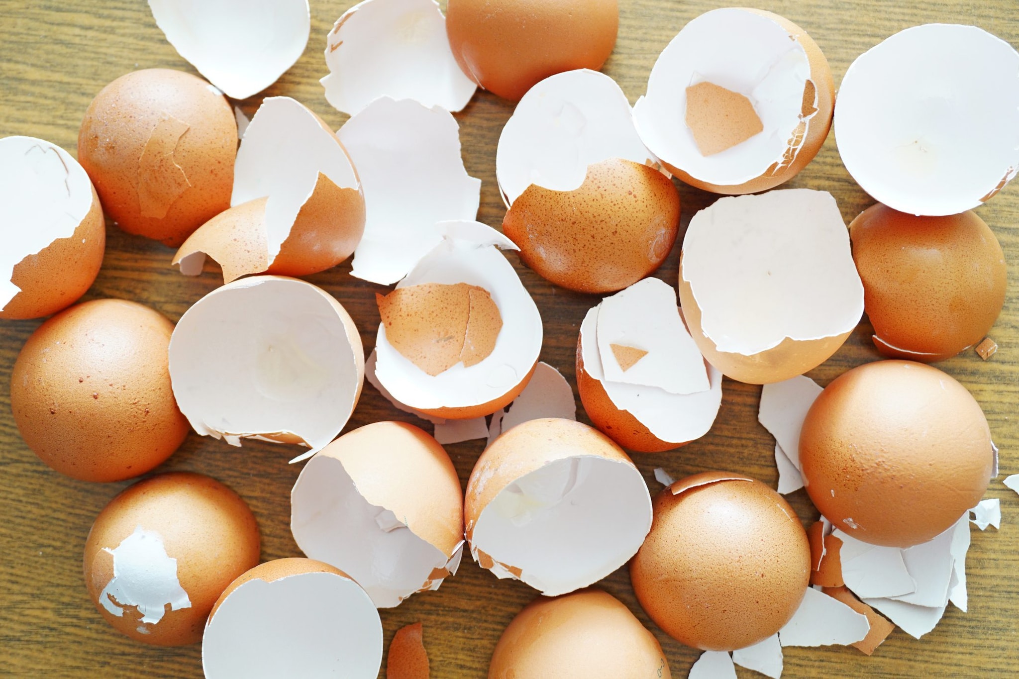 eggshells