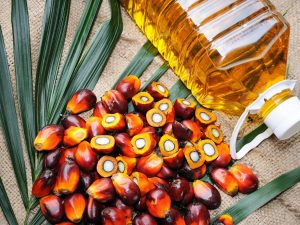 Olio di palma