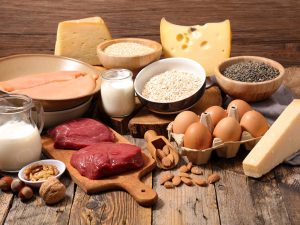protein-foods