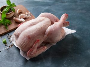 chicken