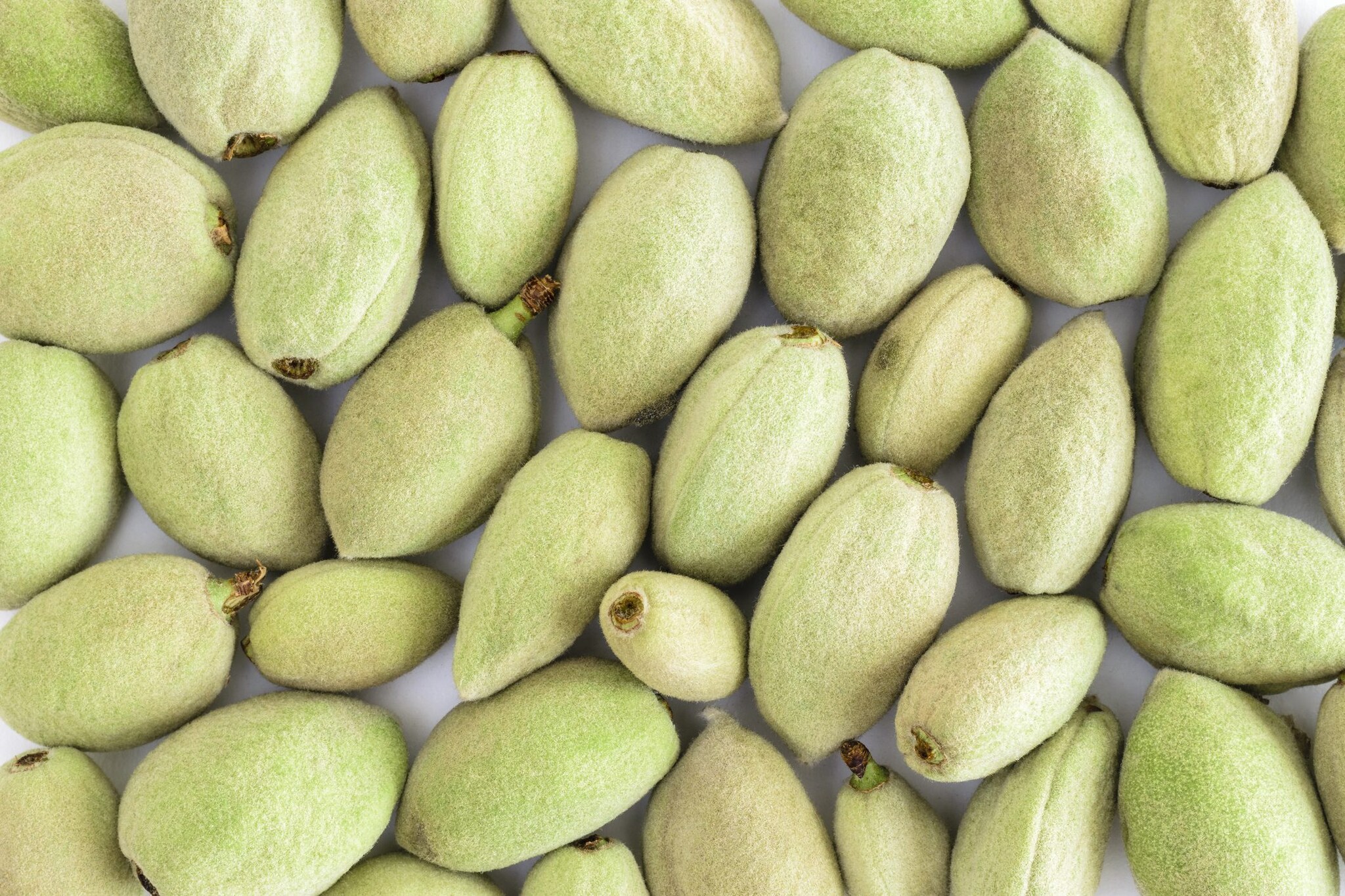 Green almonds all the health and beauty benefits for skin and hair