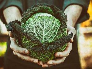 kale