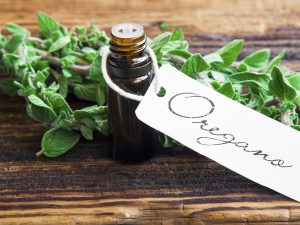 oil-of-oregano