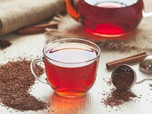 rooibos