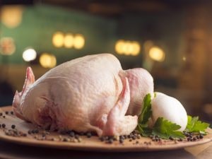 raw-chicken