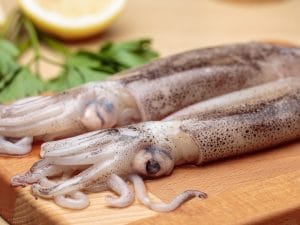 cuttlefish-ink