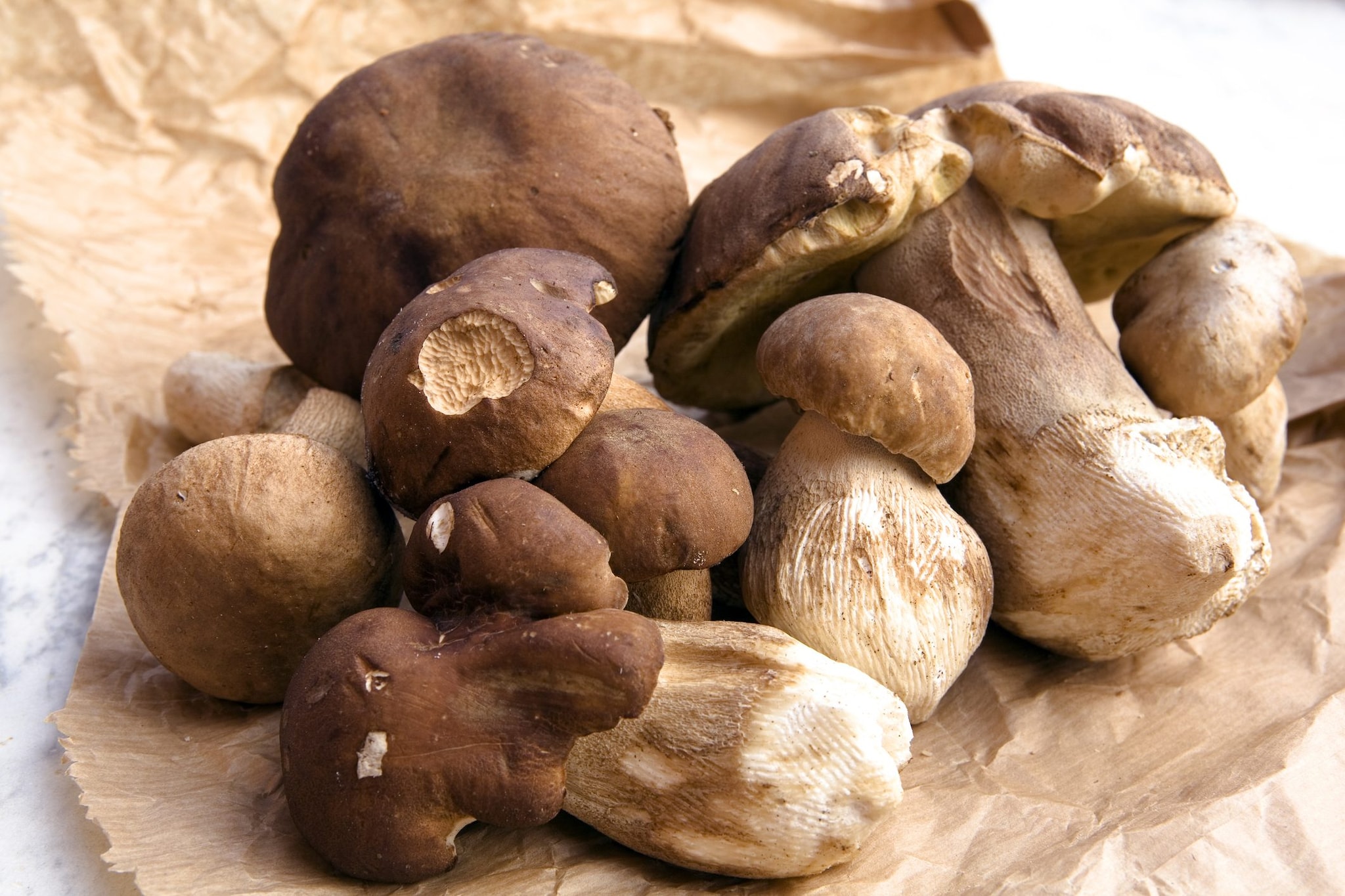 How to clean porcini mushrooms tips and secrets to avoid mistakes
