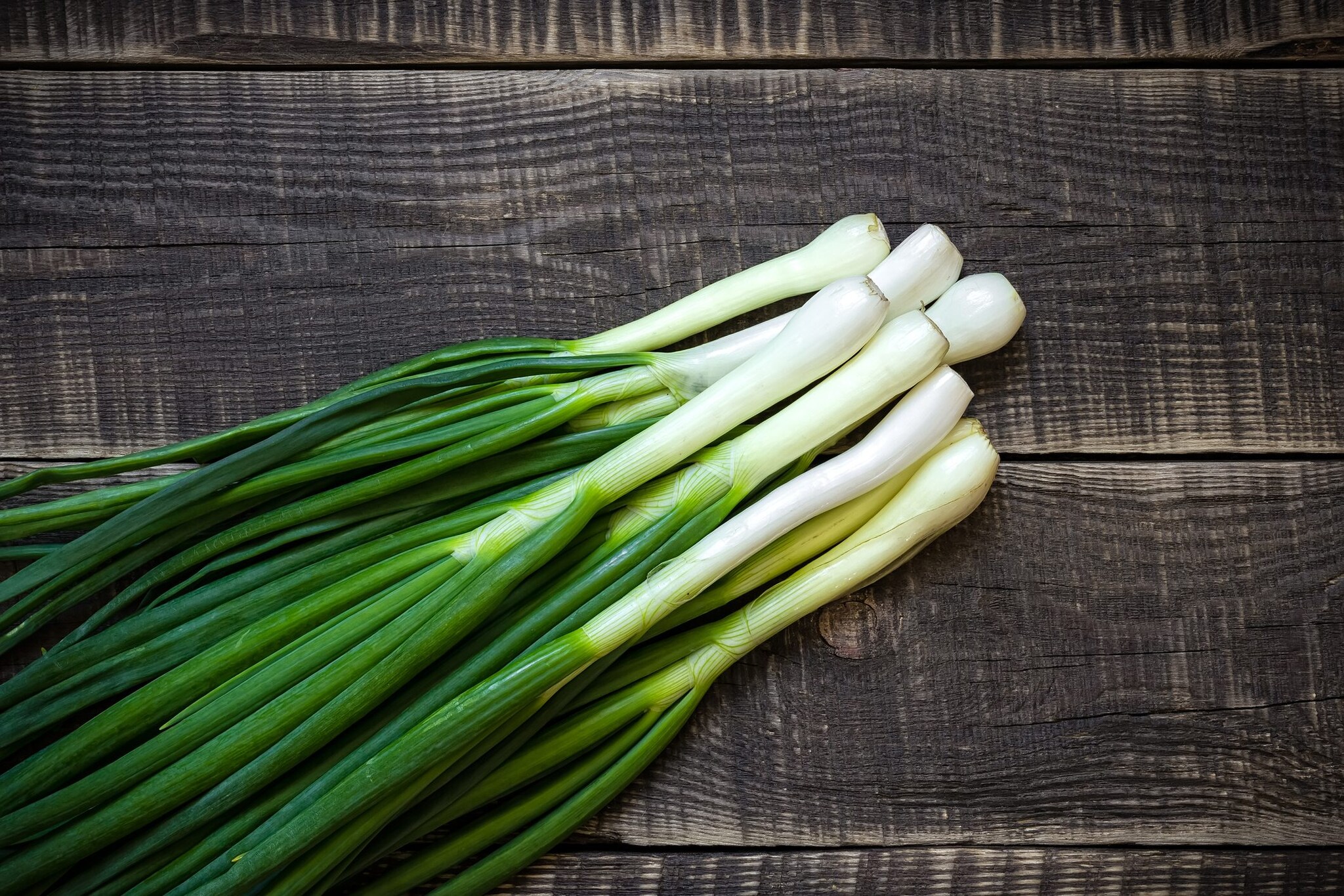 Distinct Differences Between Scallions, Green Onions, Spring Onions, Garlic, Scapes, Ramps, and
