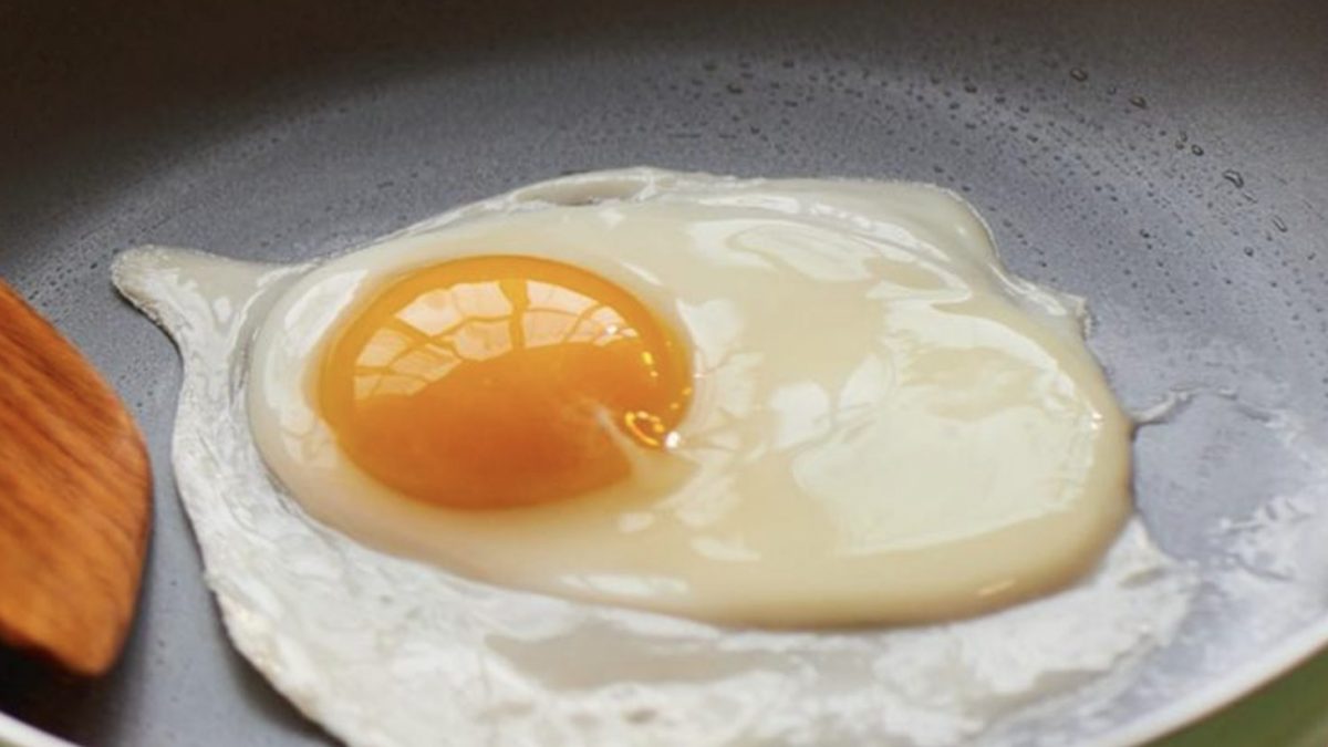 Eggs Healthy or Not? Here's What You Should Know!