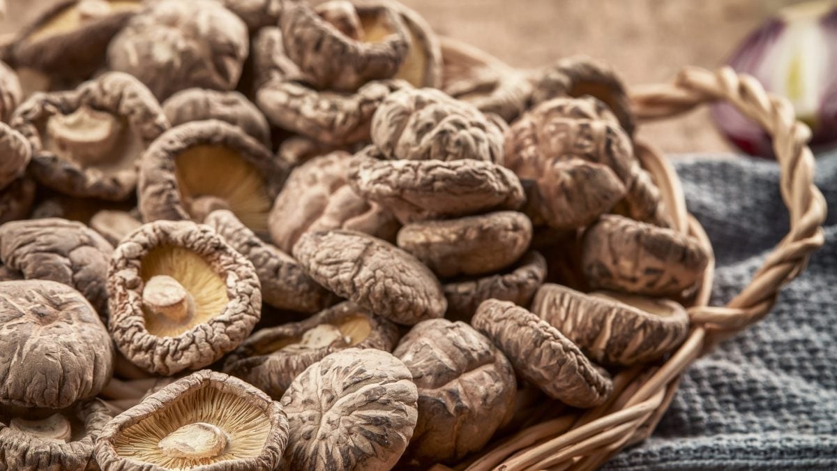 Here's How to Tell If Your Mushrooms Have Gone Bad (And Other Fungi