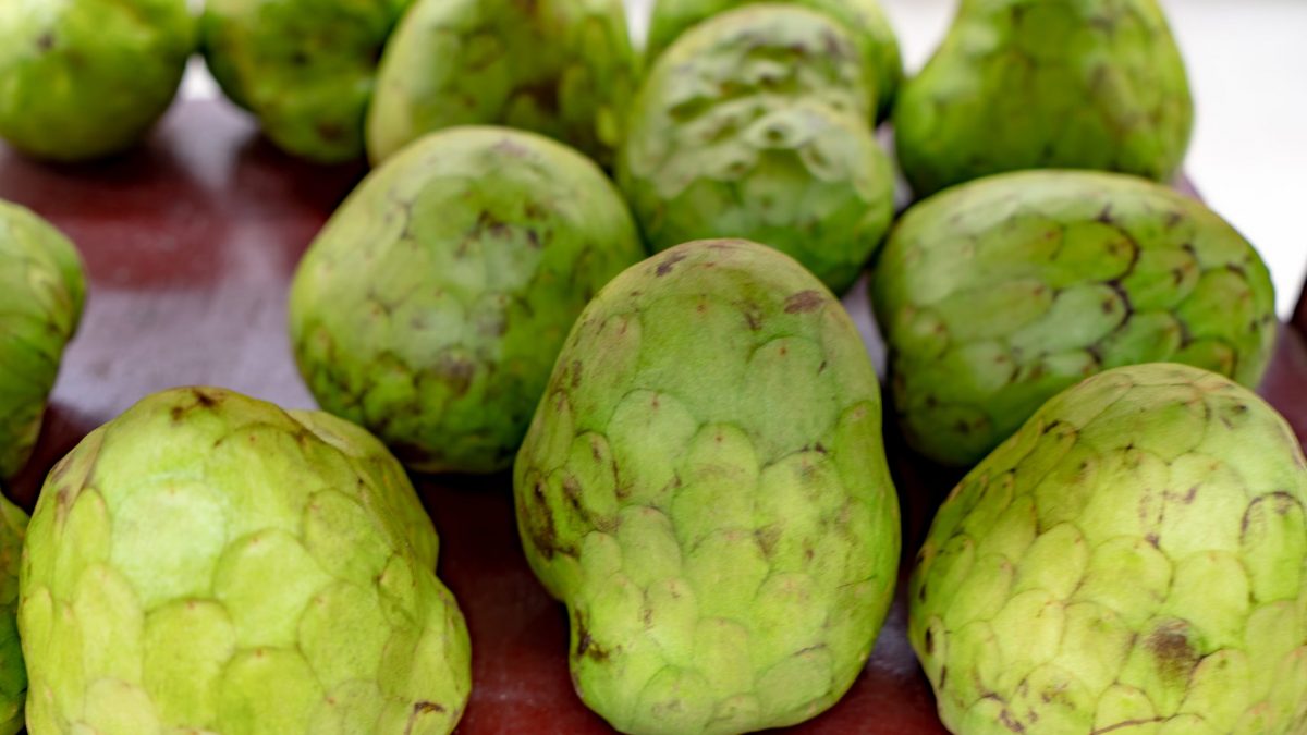 Benefits of Custard Apple During Pregnancy