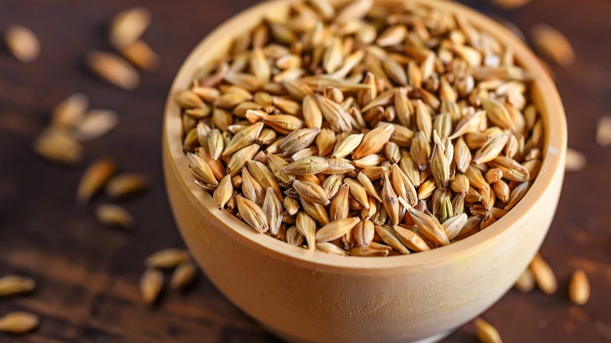 Barley malt what it is and how to use the natural alternative sweetener to sugar