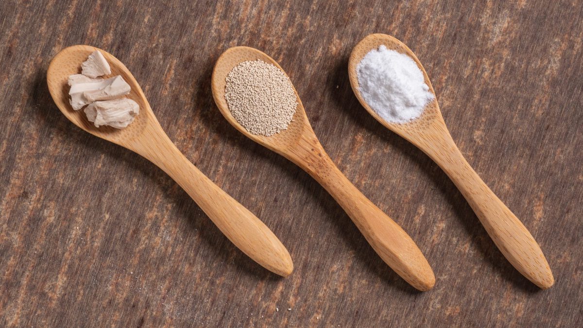 Did You Know That You Can Freeze Your Fresh Yeast? Here's The HowTo
