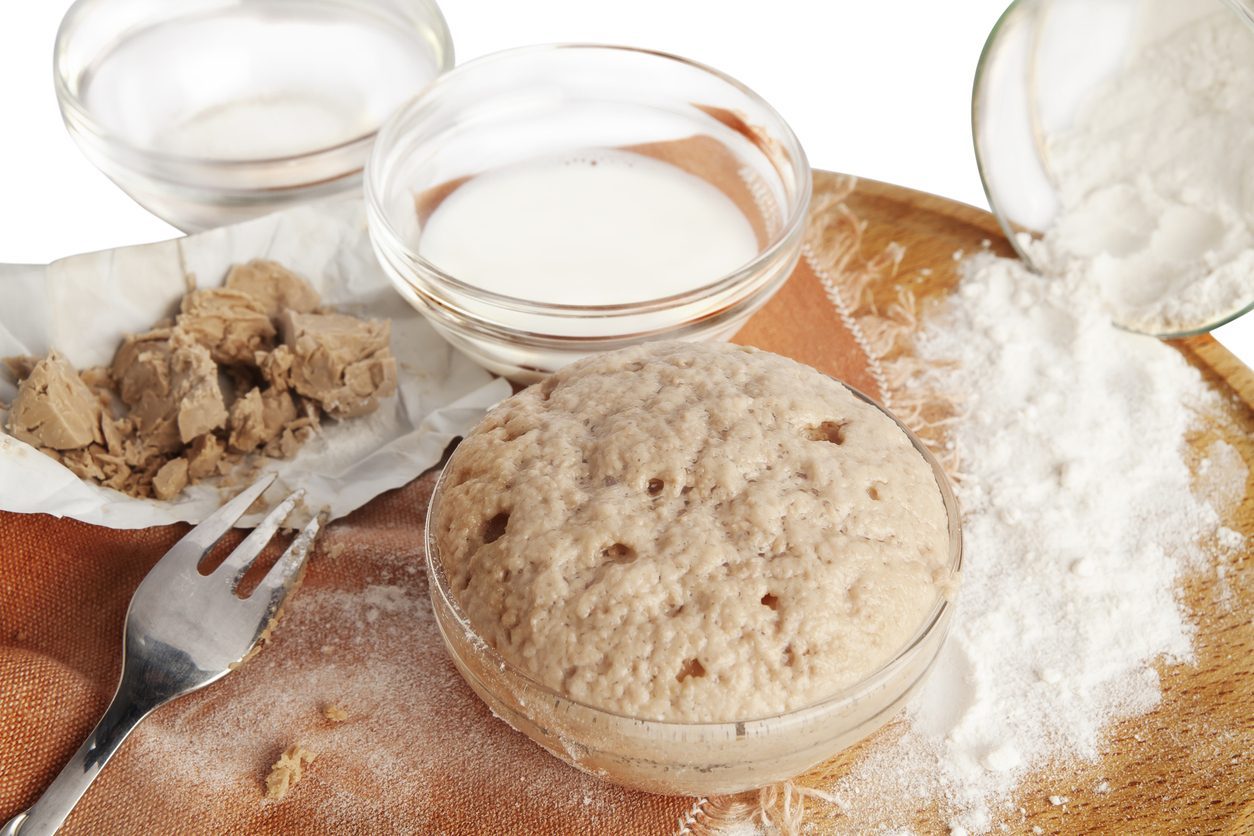 How to freeze brewer's yeast rules and tips to avoid waste