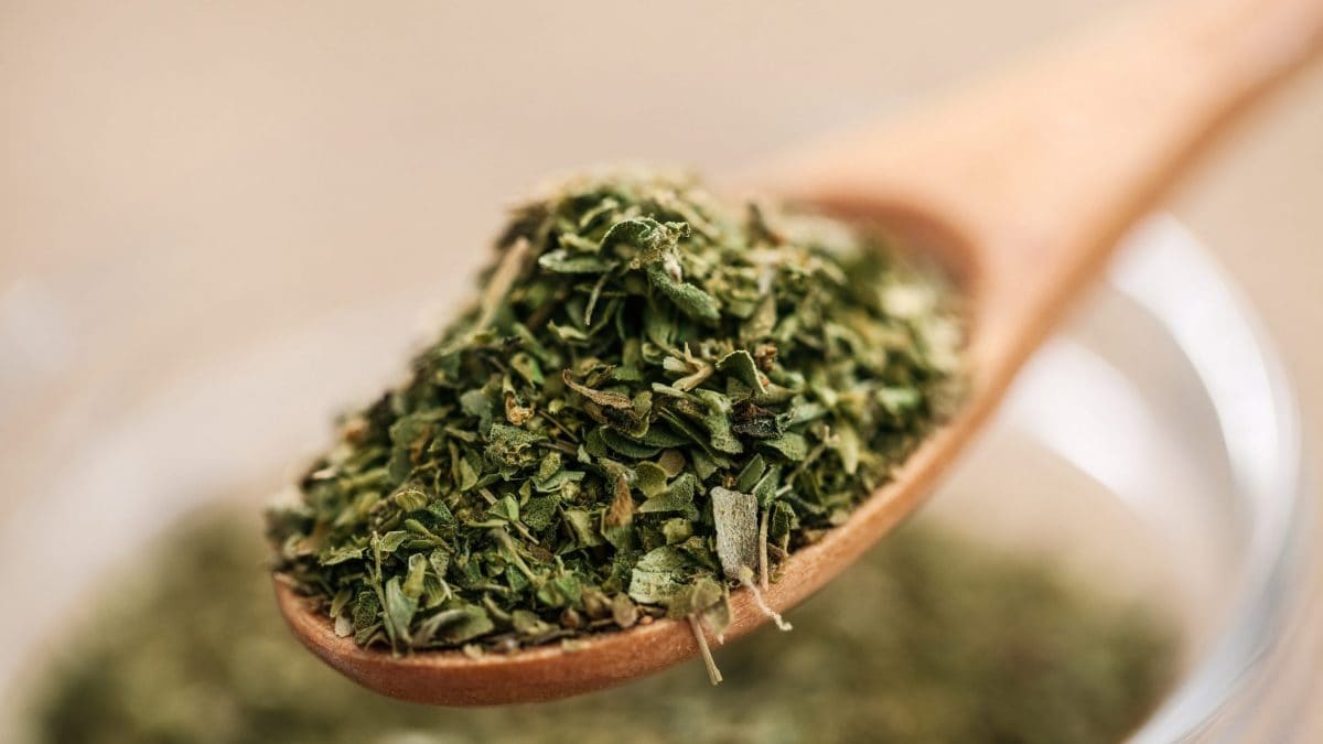 Everything You Need To Know About Drinking Oregano Tea For Health Benefits