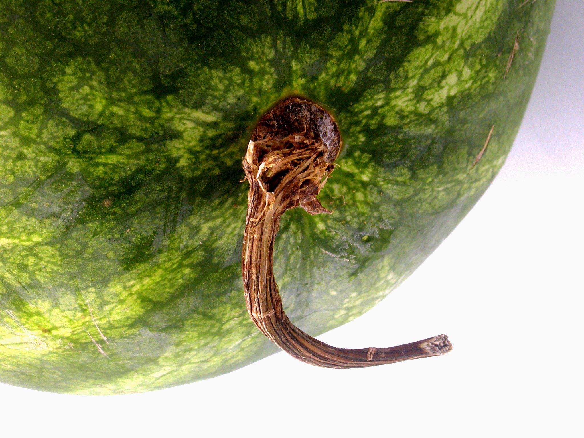 These Handy Tips Will Help You Quickly Determine The Quality Of Watermelons When Buying