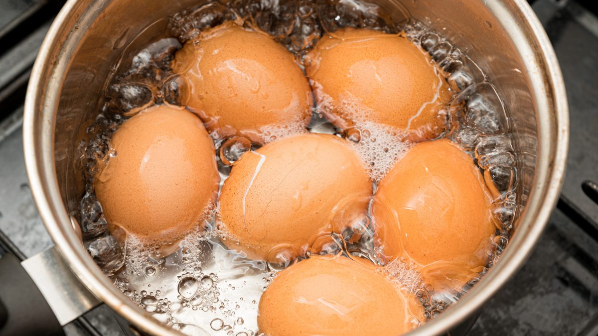 Stop Throwing Out HardBoiled Egg Water. Save Them For Your Plants Instead!