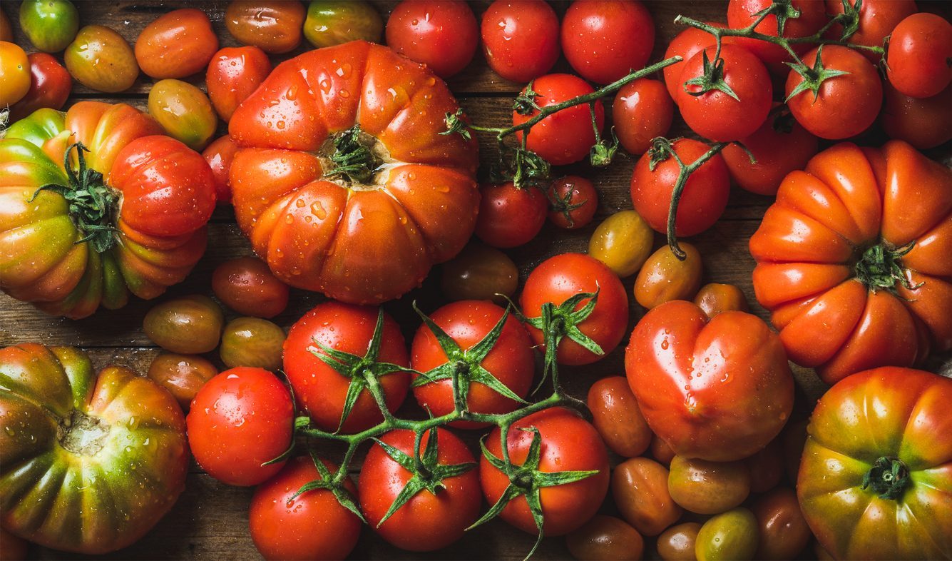 Why do tomatoes turn black underneath? Causes and remedies of apical rot