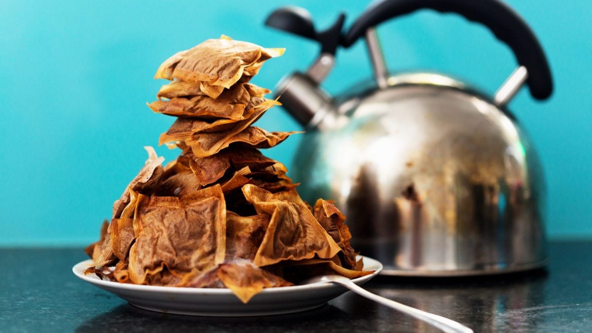Here's The Correct Way To Dispose Of Tea Bags