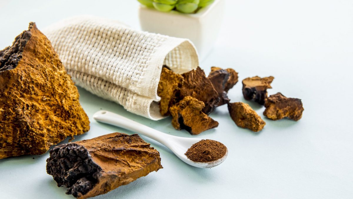 Here's How to Tell If Your Mushrooms Have Gone Bad (And Other Fungi