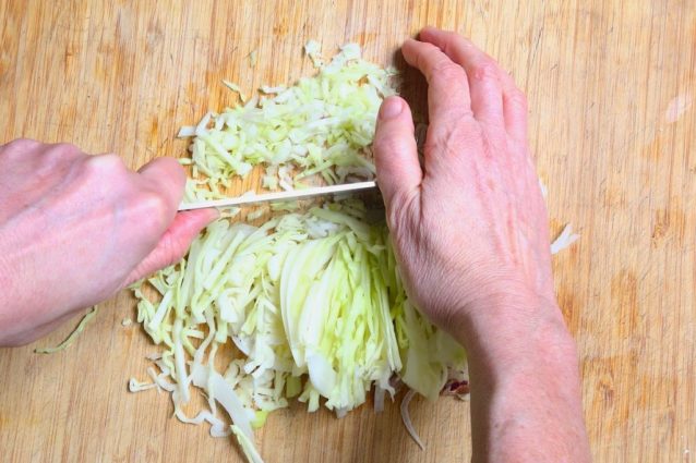 Braised Short Rib Dumplings: the irresistible recipe for Japanese Gyoza