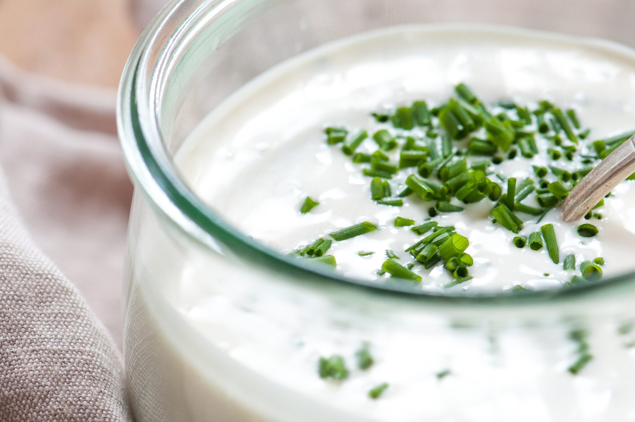 9 Simple Dipping Sauces That You Can Make With Mayonnaise!