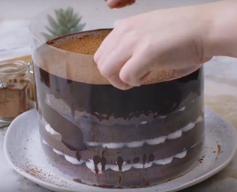 Chocolate Tsunami Cake (Pull Me Up Cake)
