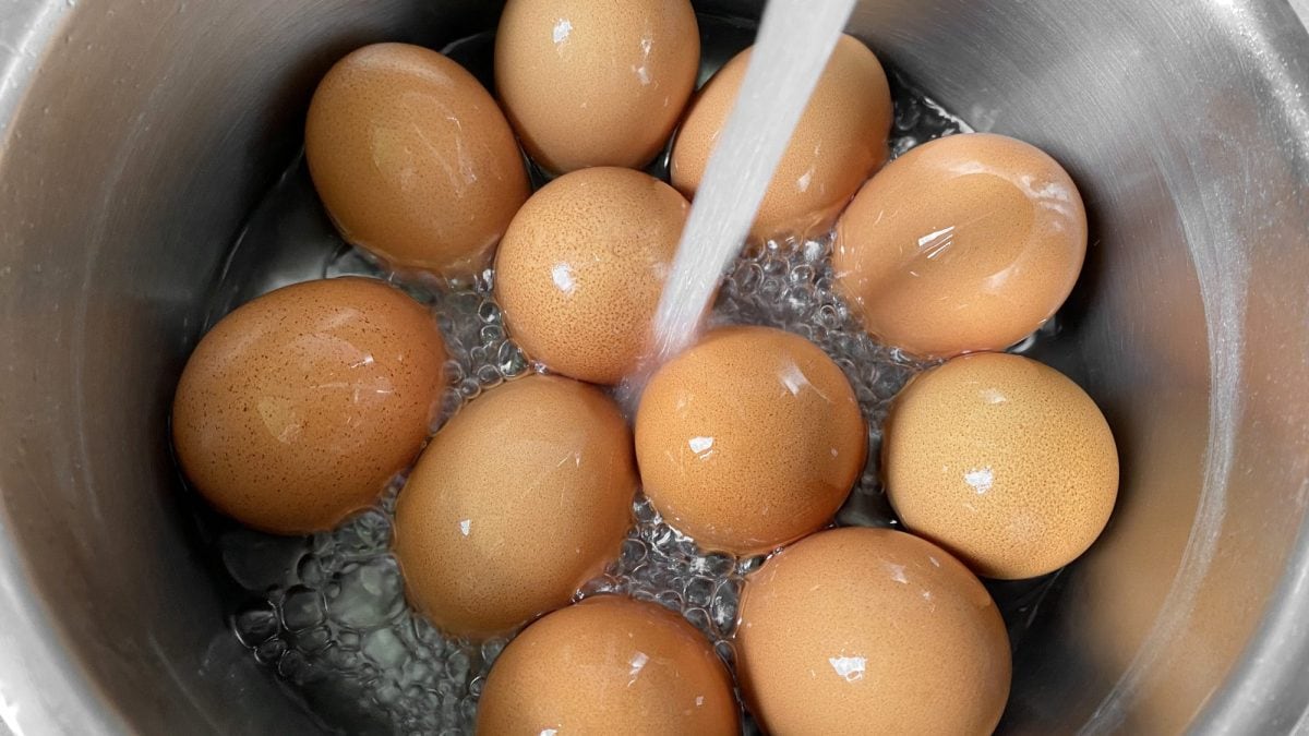 5 Frequently Asked Questions About Egg Washes Answered