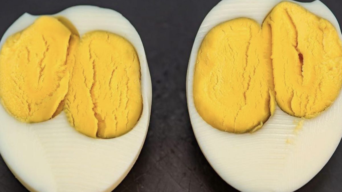 Everything You Need To Know About Eggs That Have Two Yolks