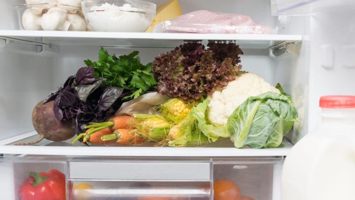 What to Keep and What to Throw Out After a Power Outage in Your Fridge