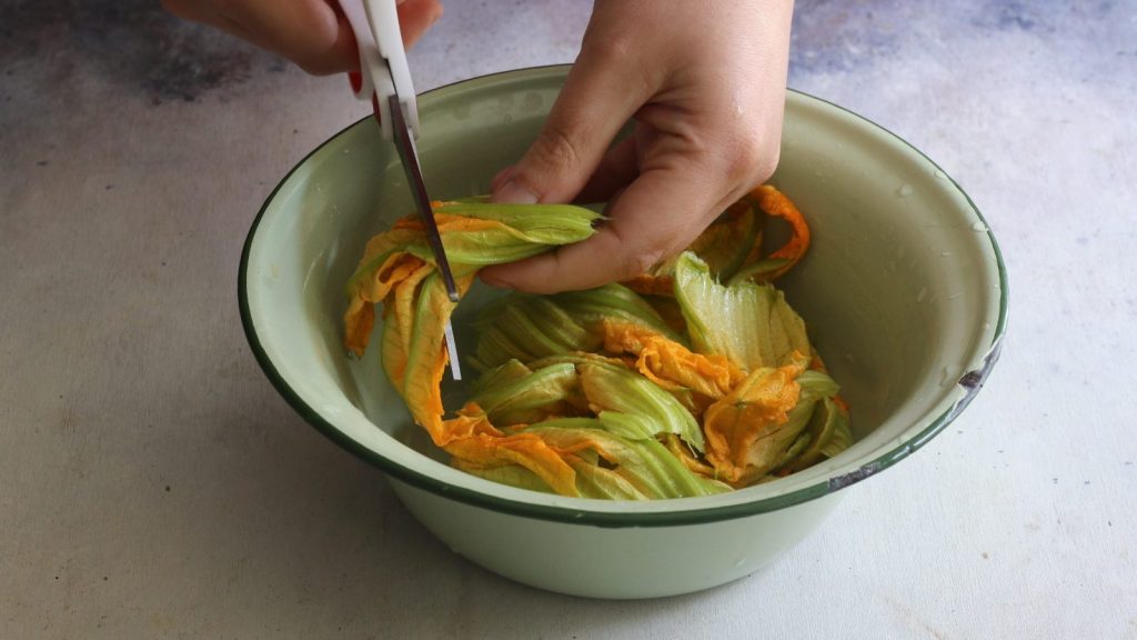 Zucchini Flower Patties Recipe