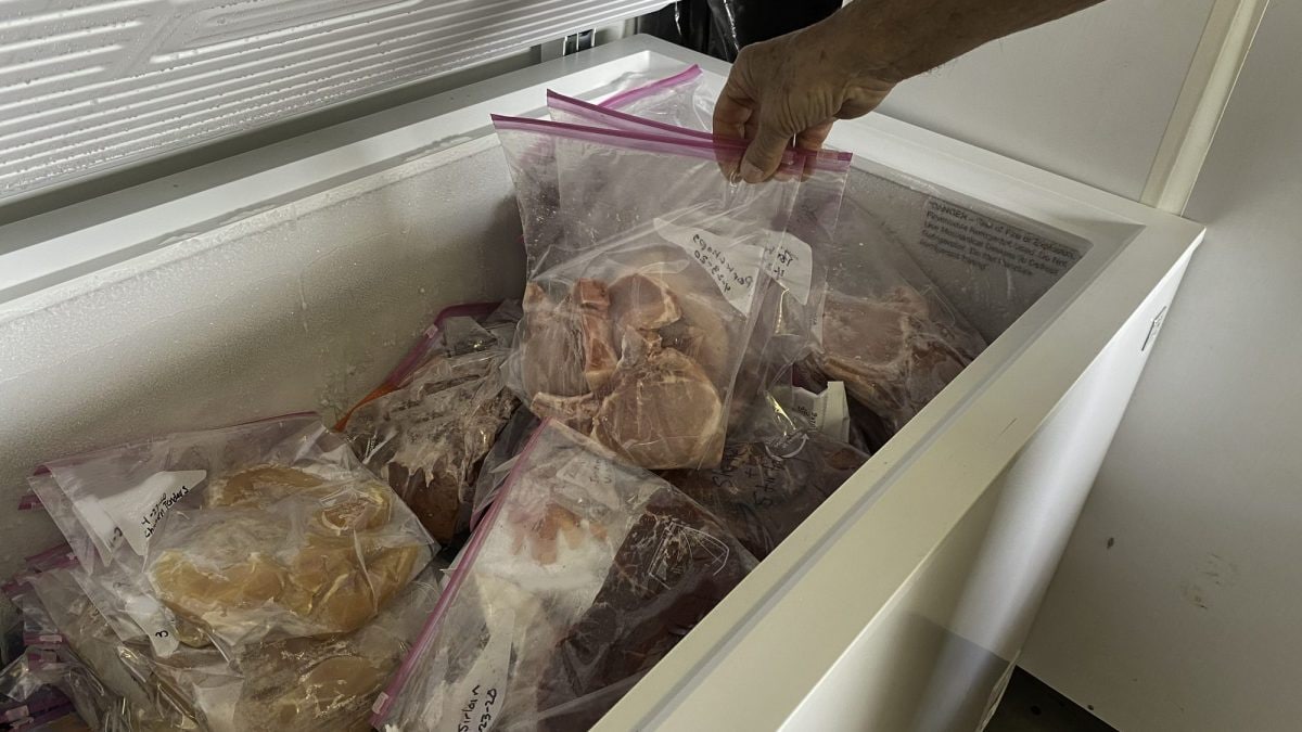 Important Tips On How To Freeze Steak To Retain Their Freshness For Longer