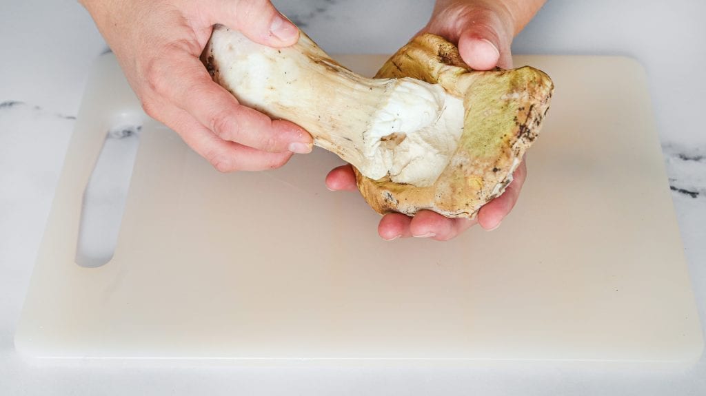 Mushroom Pasta Recipe